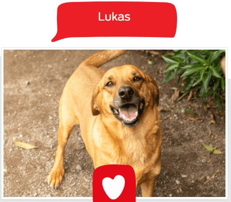 Foto de Lukas
