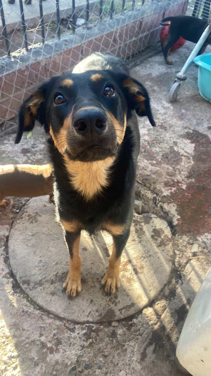 Foto de Kiara