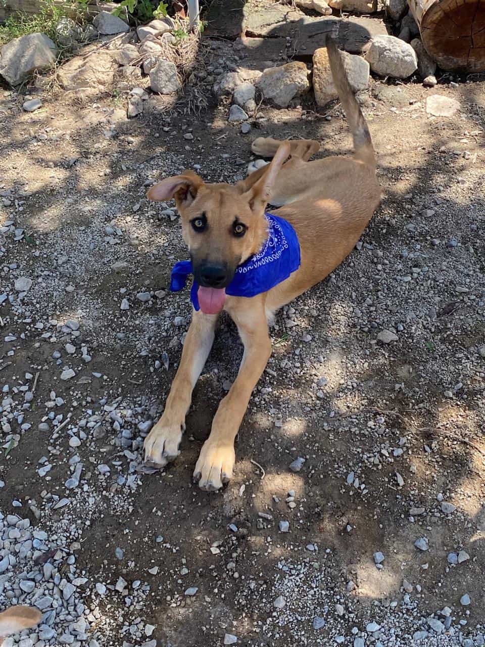 Foto de Milo