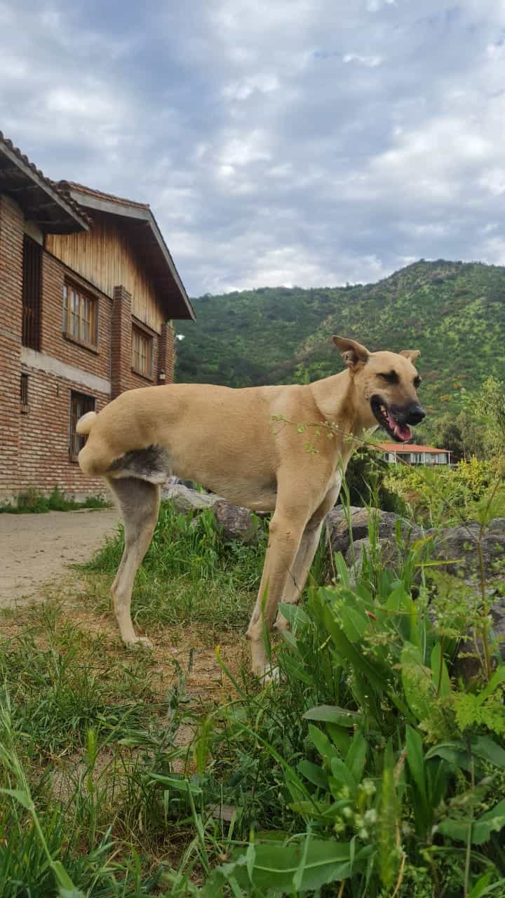 Foto de Chico Jim