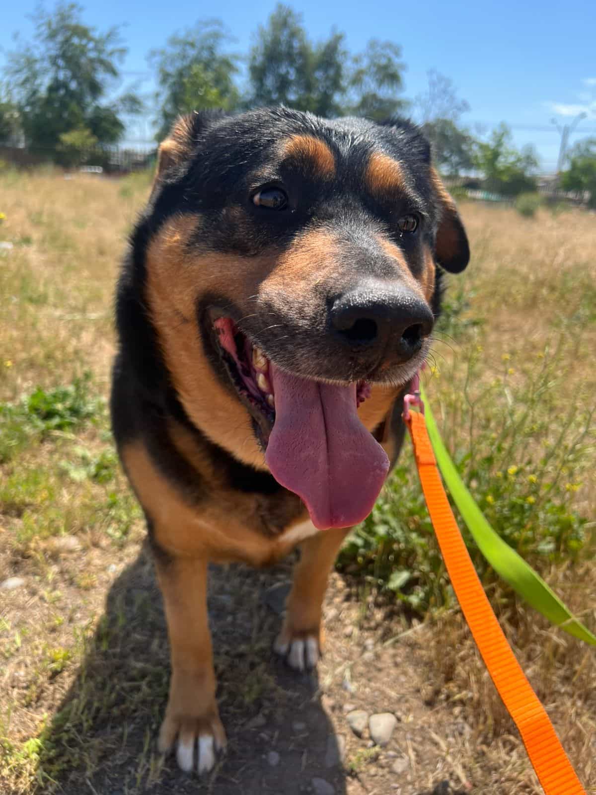 Foto de Martín