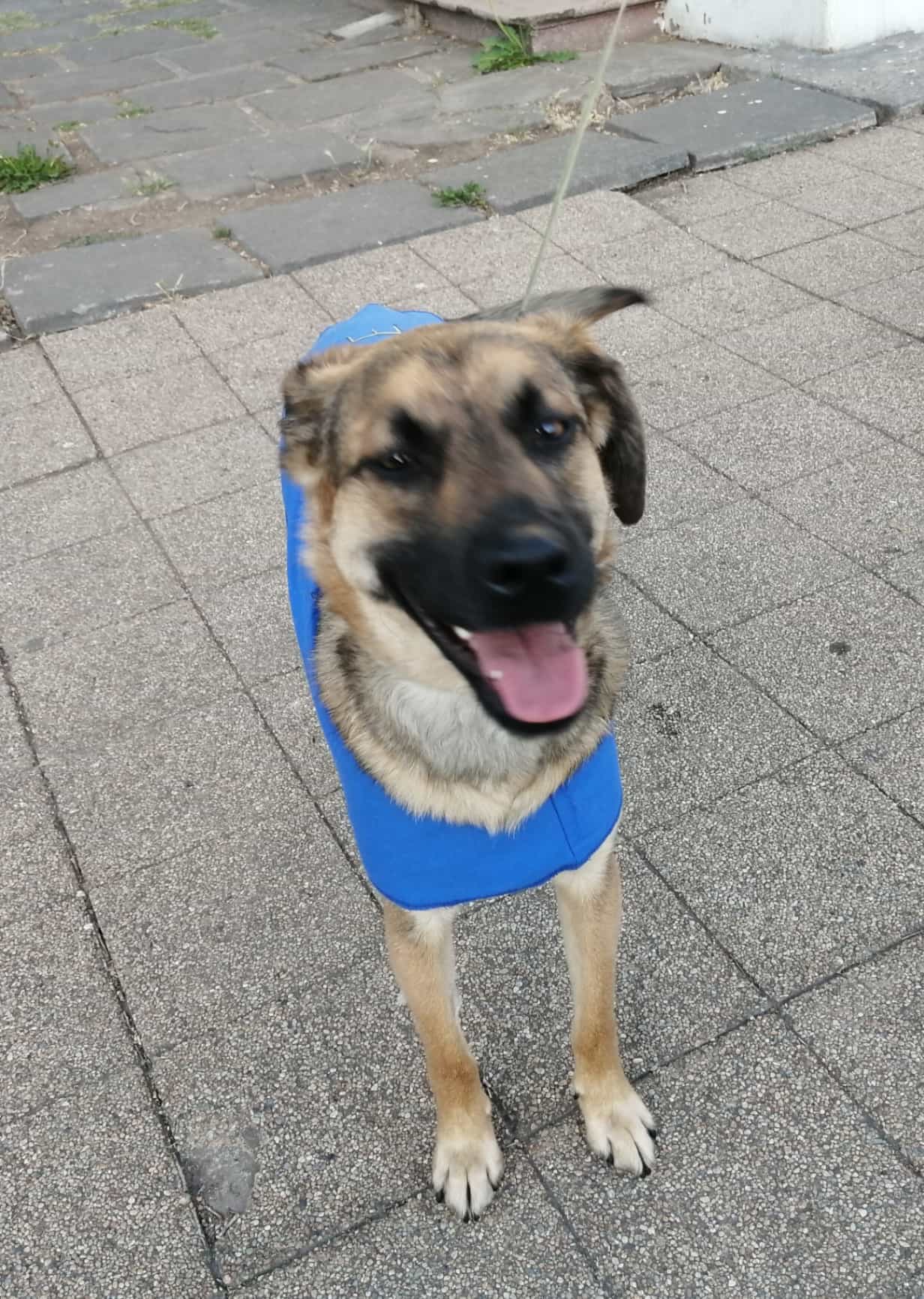 Foto de PIERO