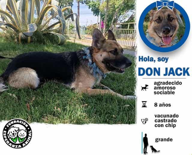 Foto de Don Jack