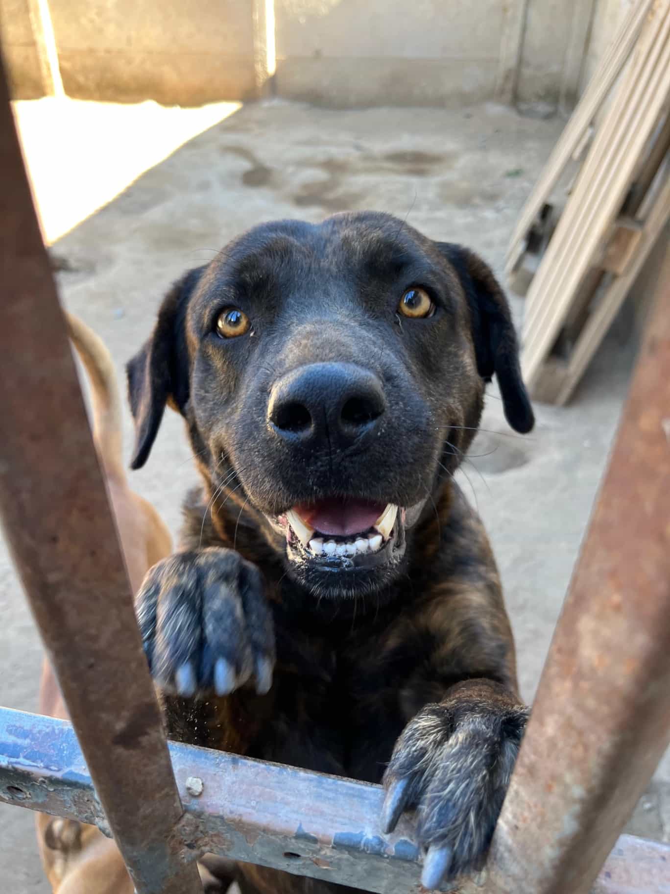 Foto de Keyla