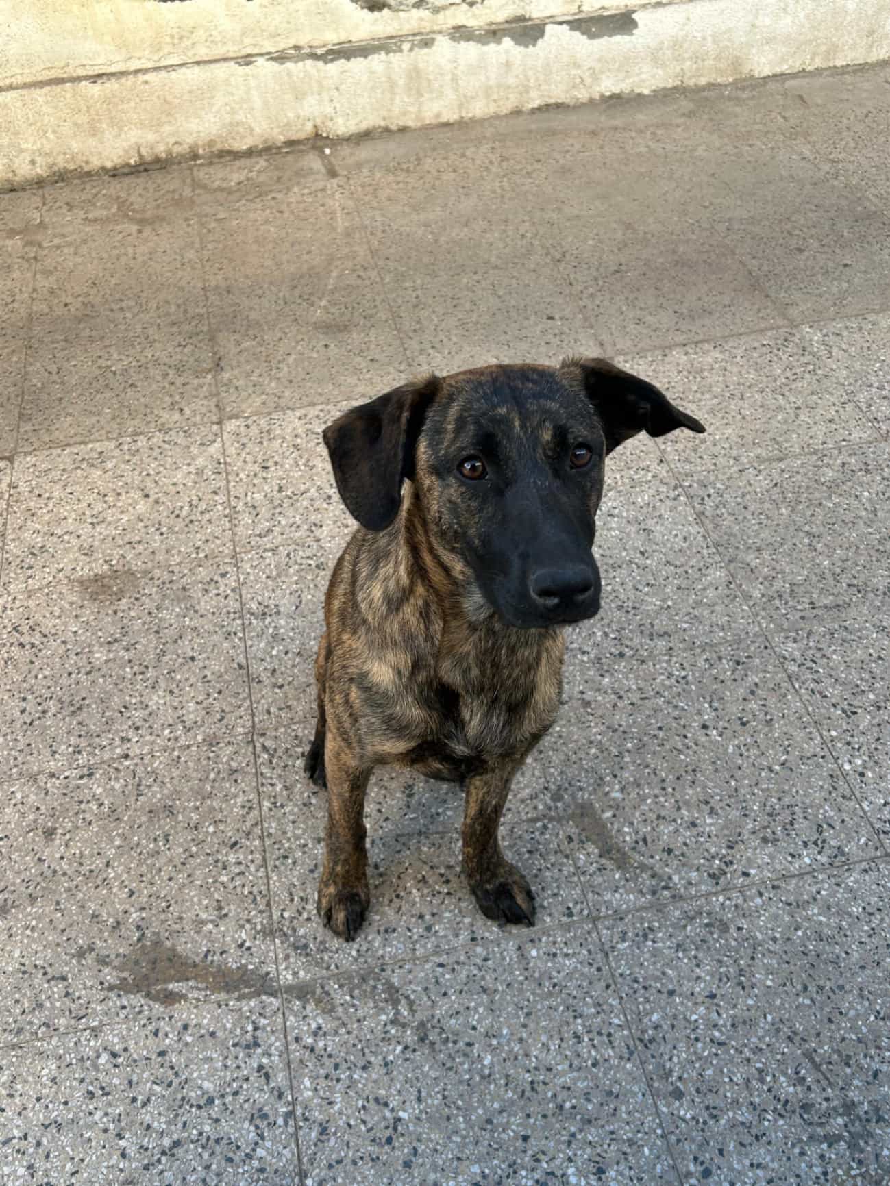 Foto de Anaís