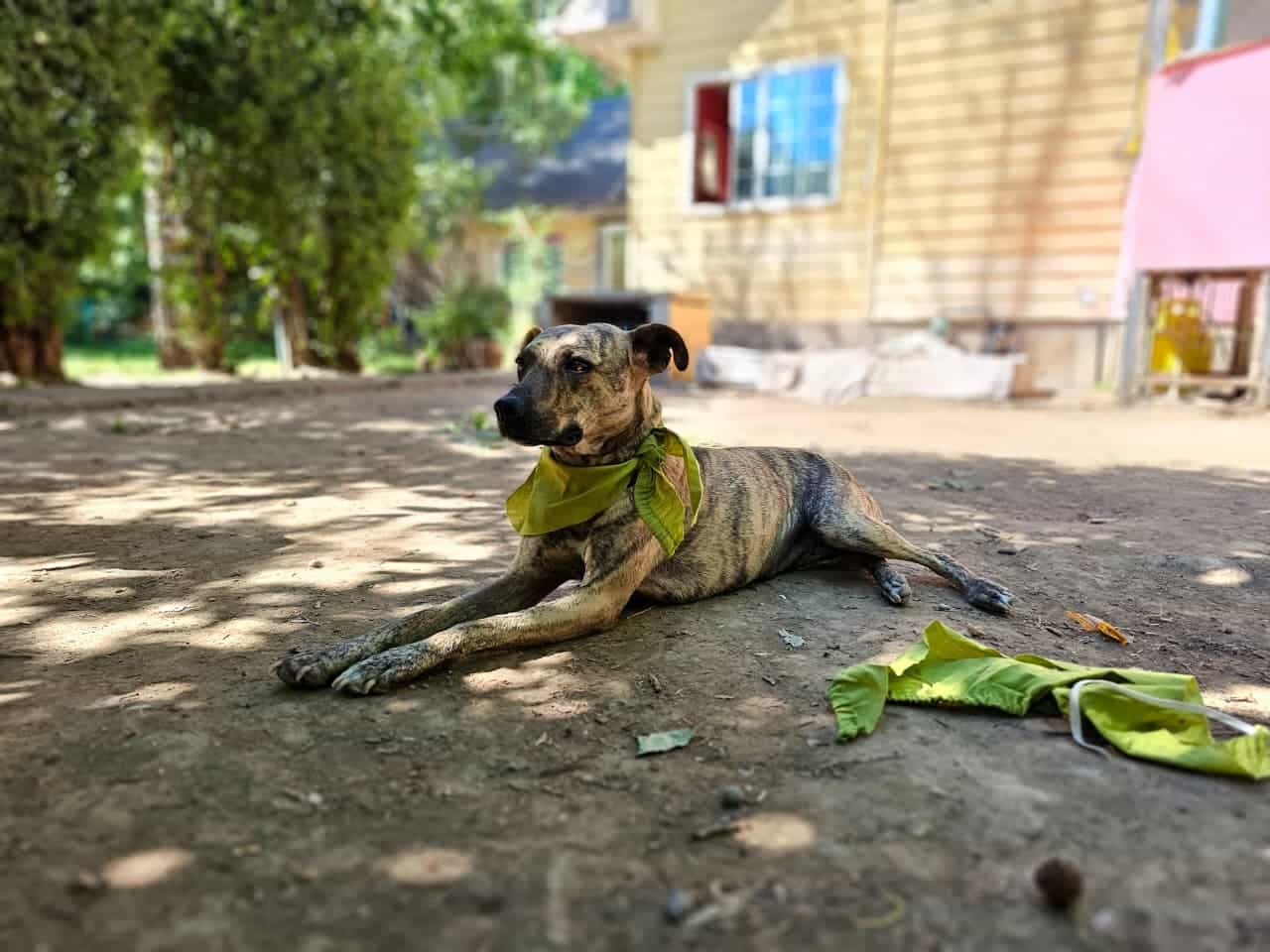 Foto de Dua