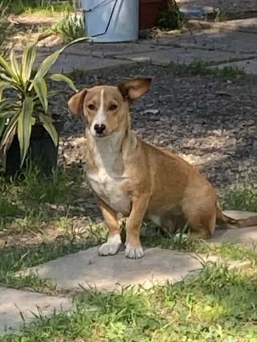 Foto de Lili