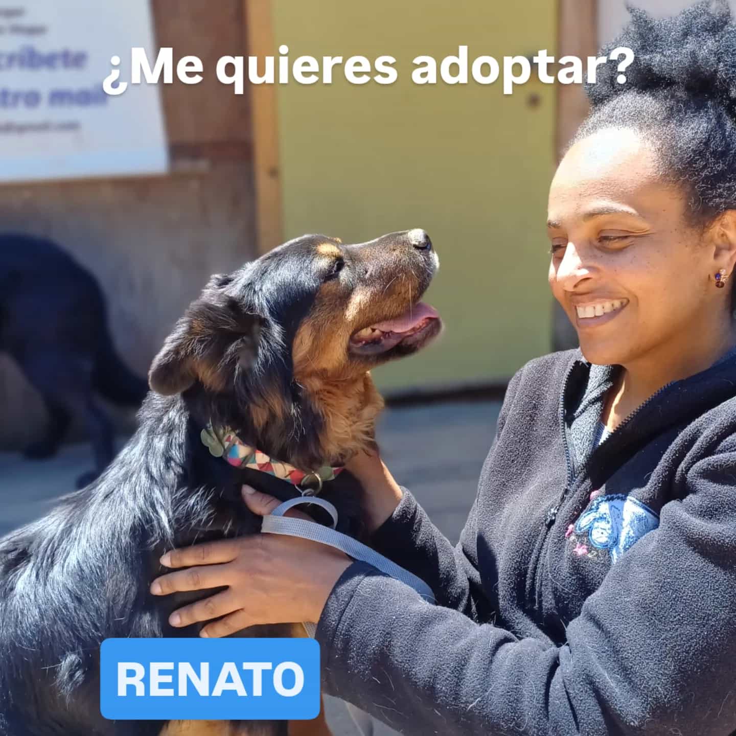 Foto de RENATO
