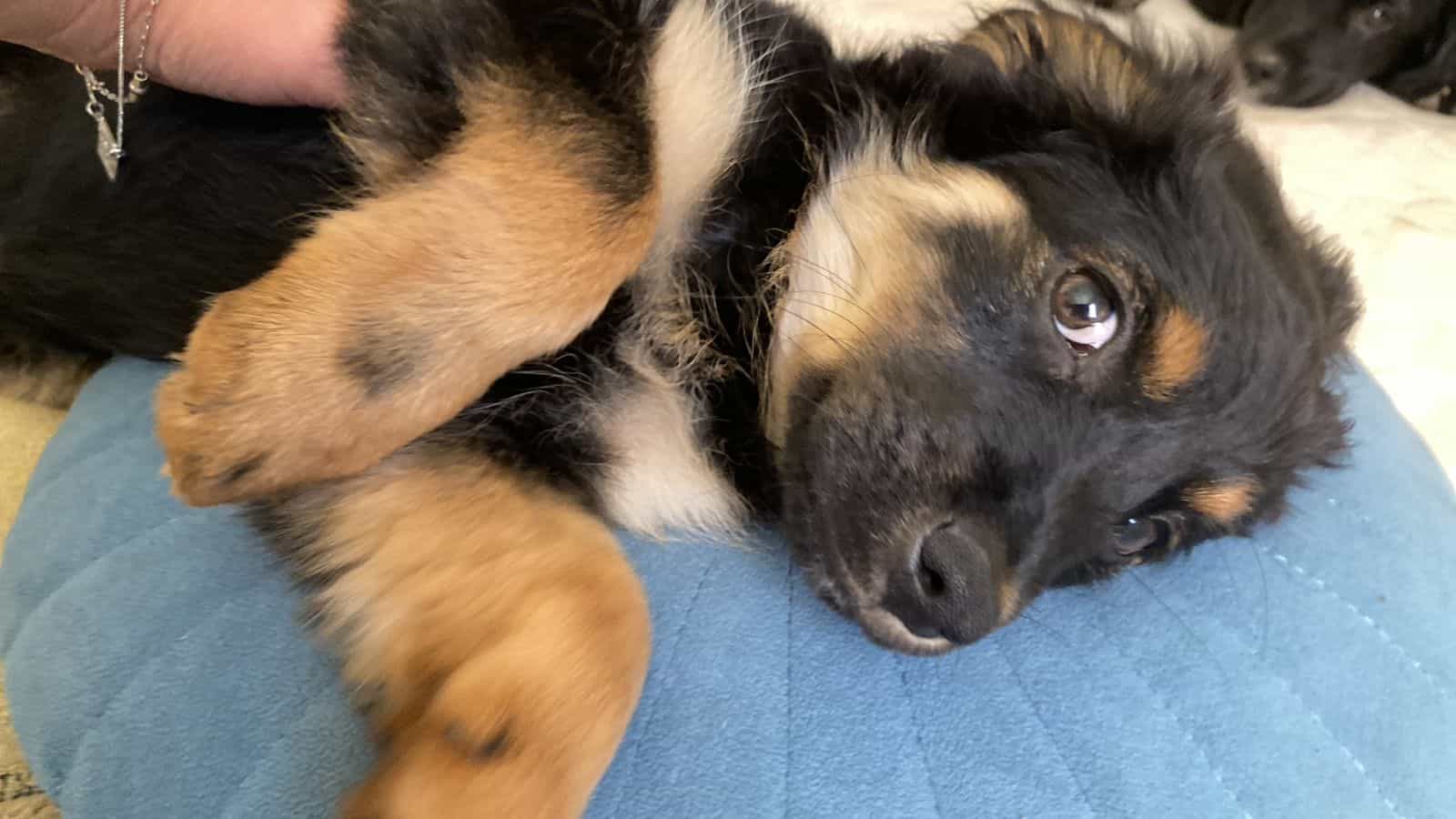 Foto de Salomé