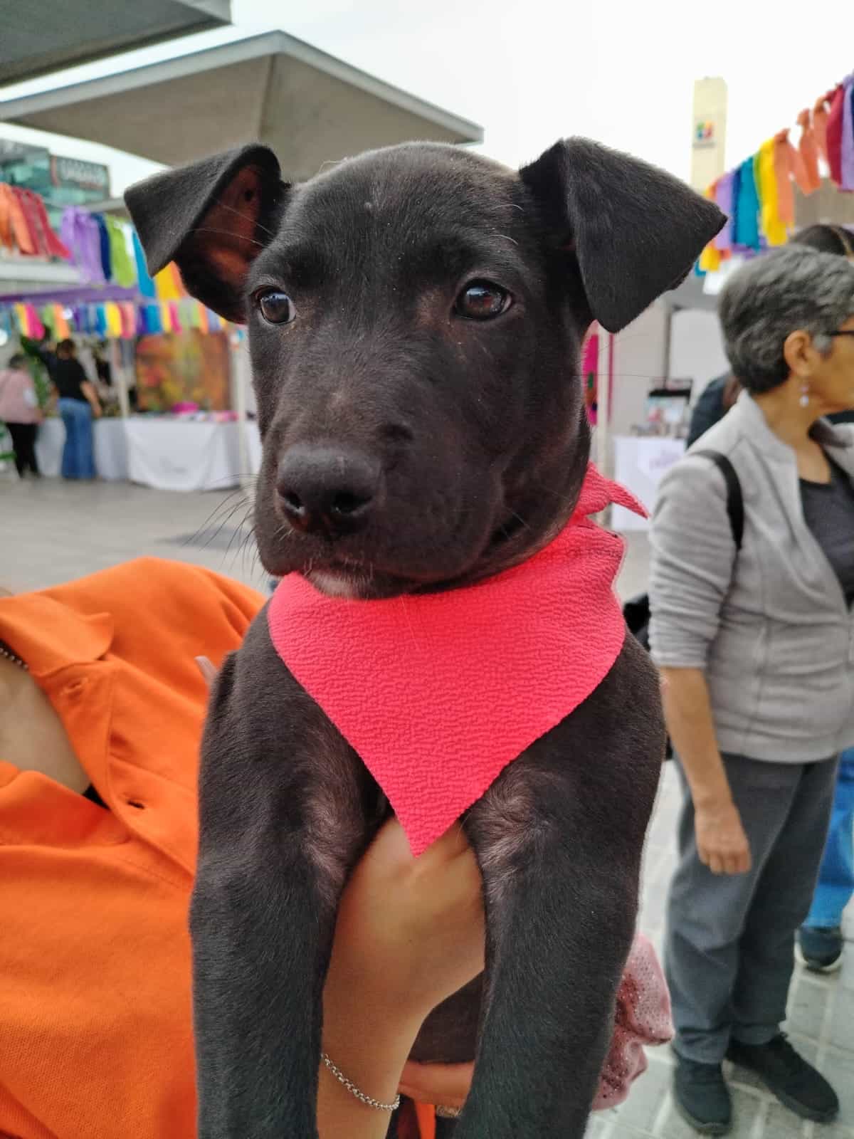 Foto de Bebes