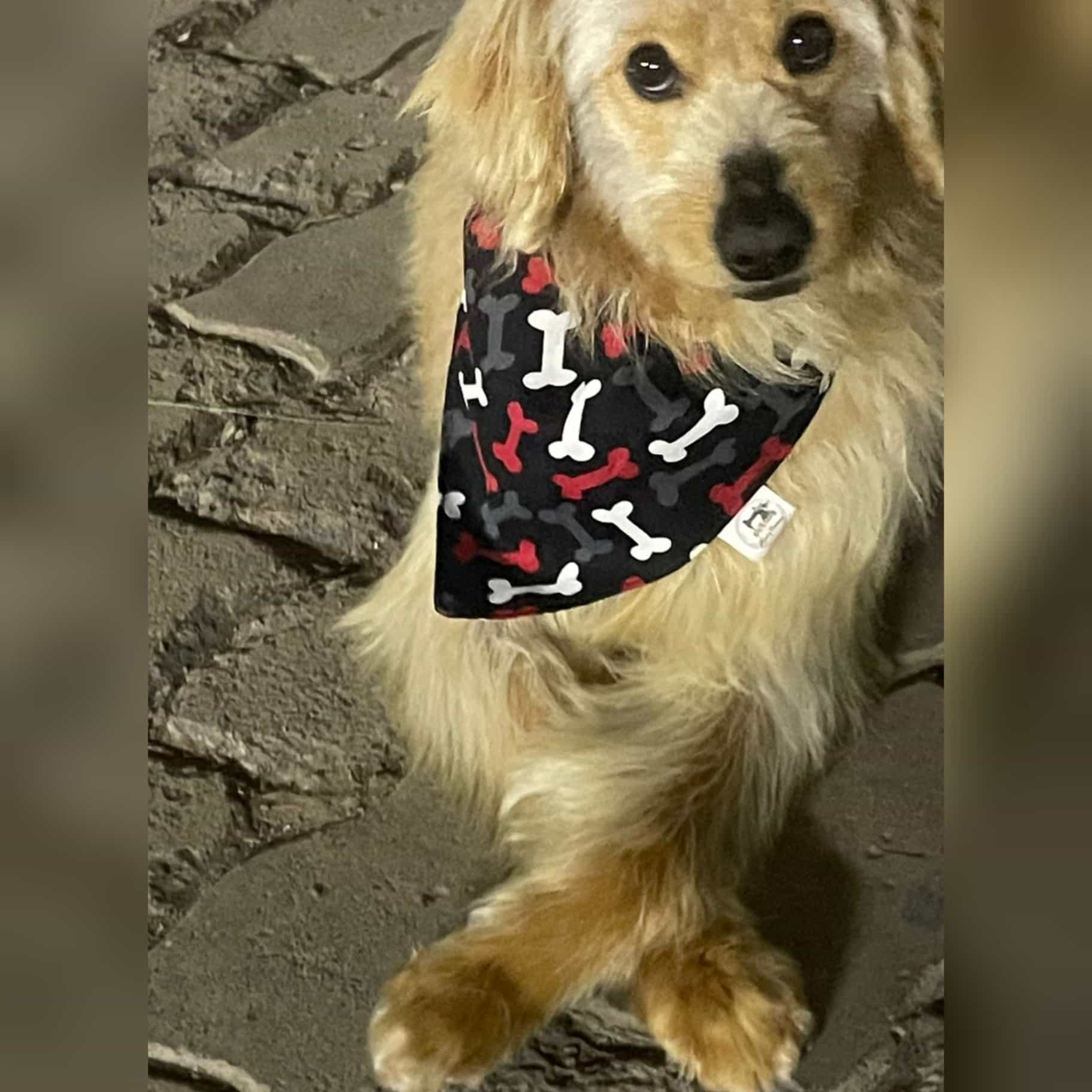 Foto de Niño