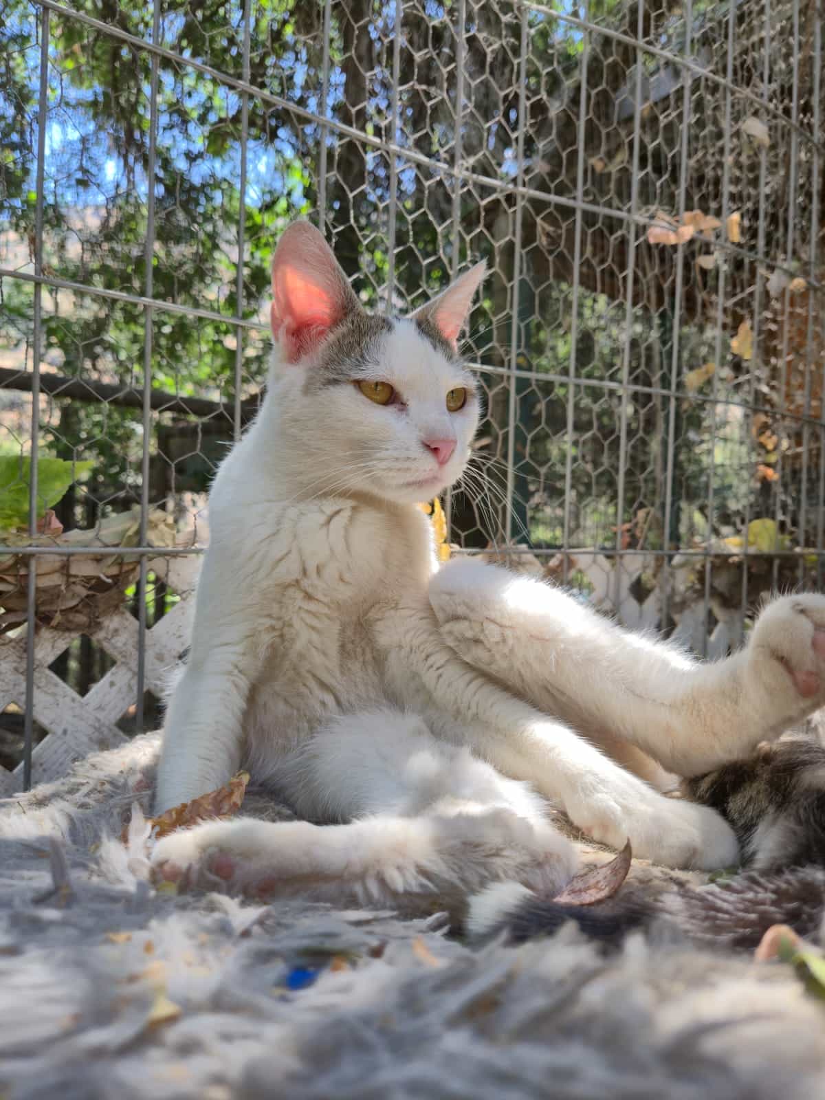 Foto de Clara