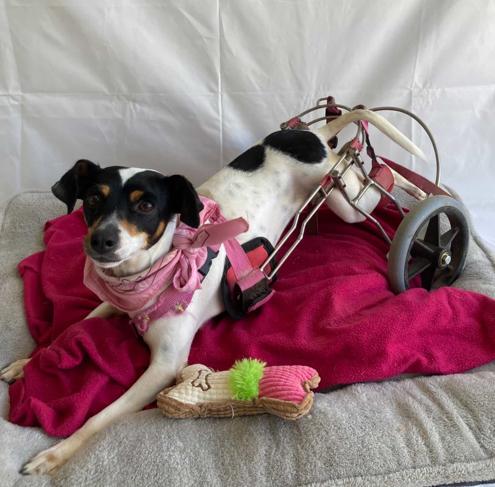 Foto de Princesa