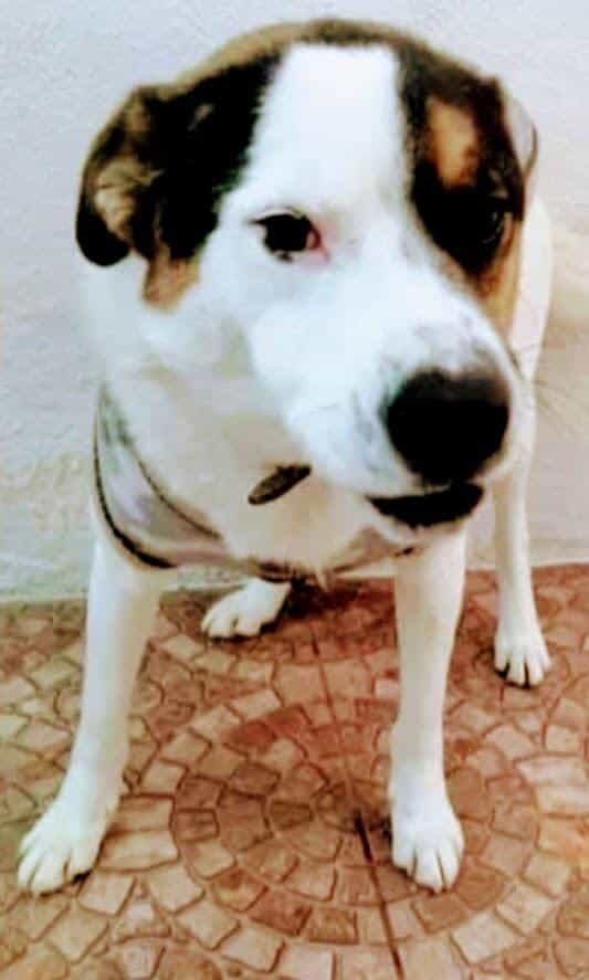 Foto de Julián