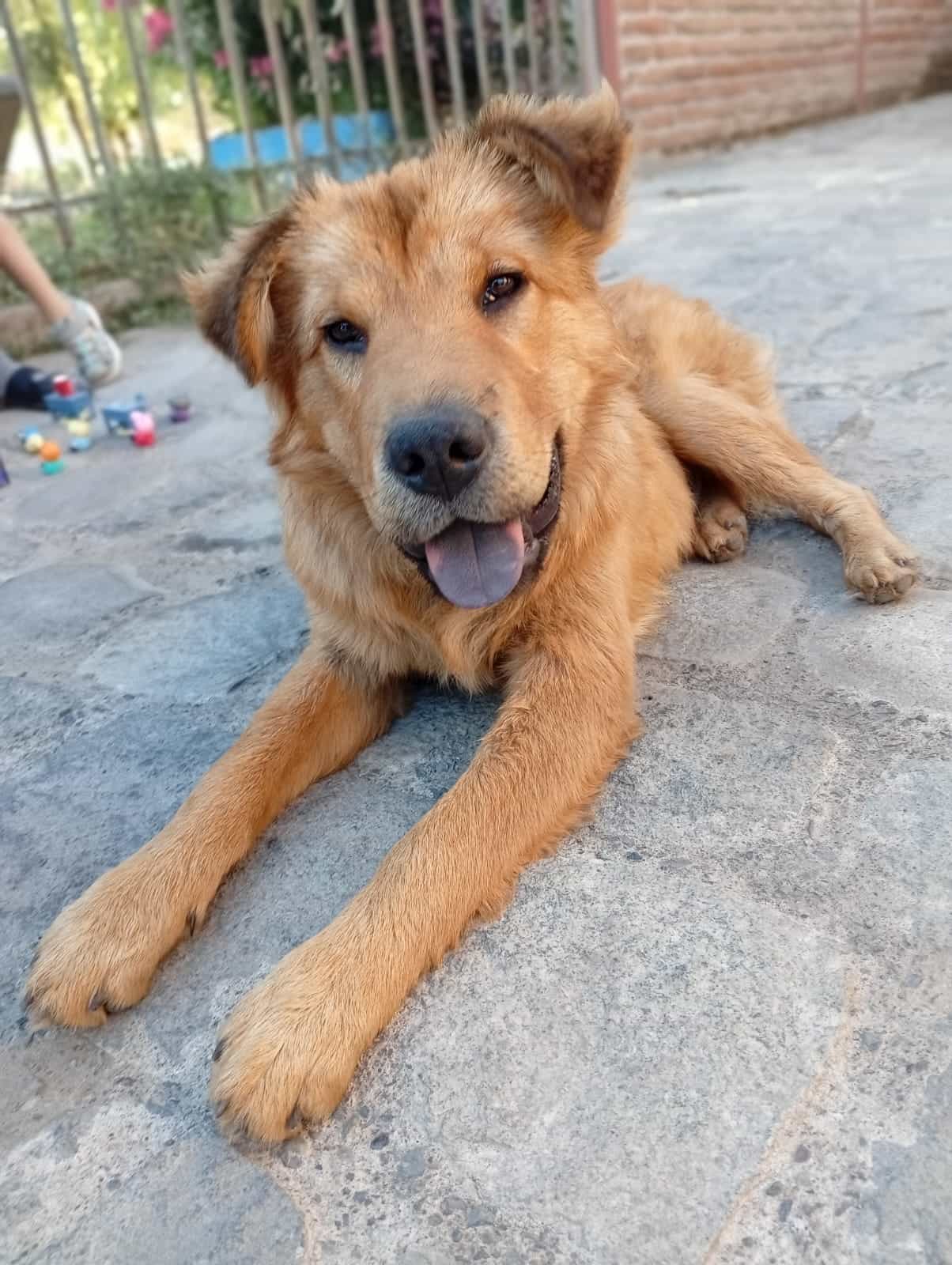 Foto de ROBERTO