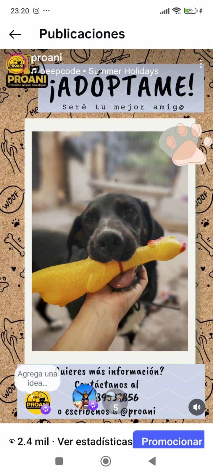 Foto de Lunita y su pollo