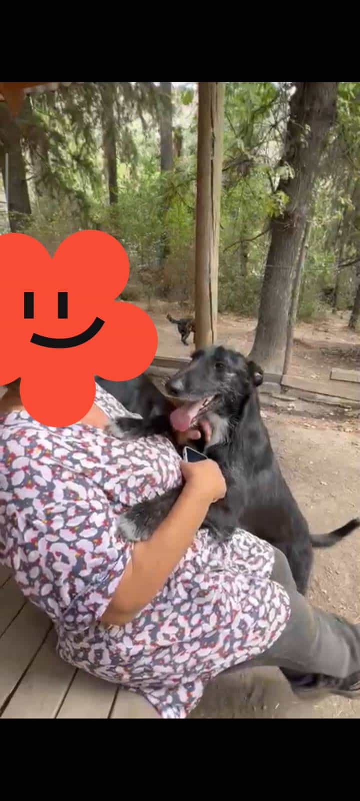 Foto de Chuy