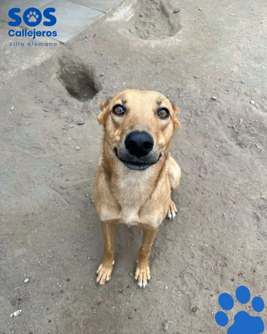 Foto de Pedro