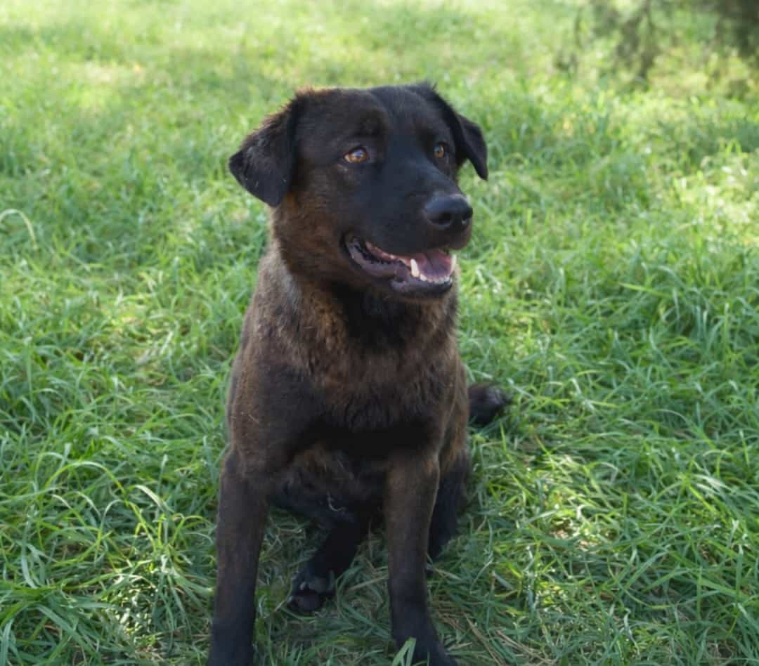 Foto de Fiona