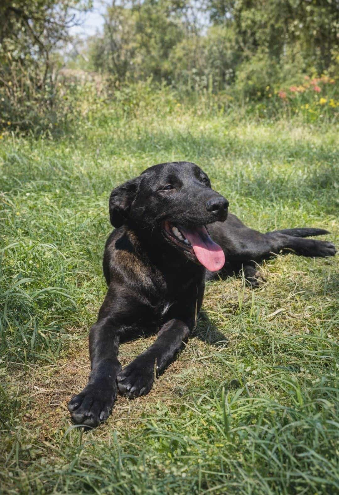 Foto de Tiana