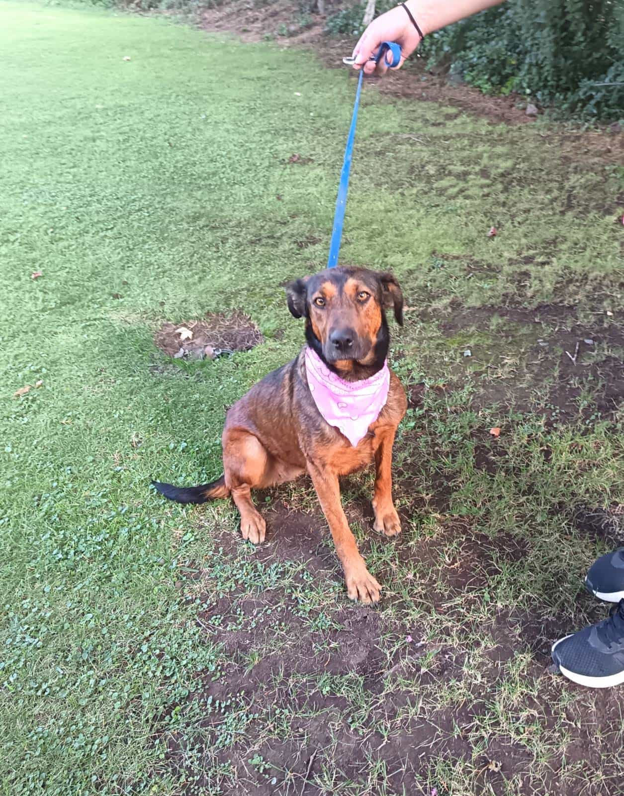 Foto de RUNA maravilla💟6ta región