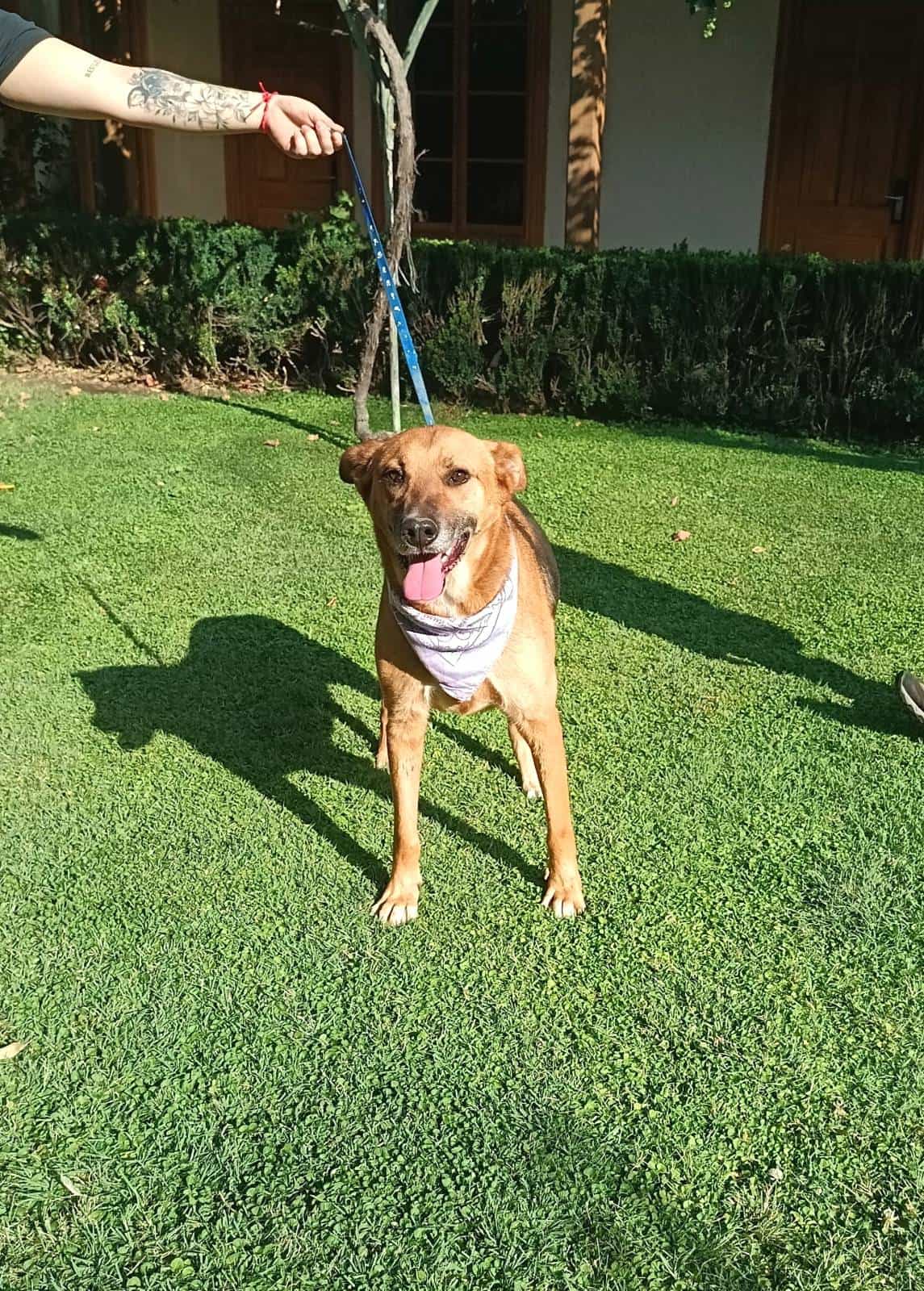 Foto de REINA 👑 6ta región