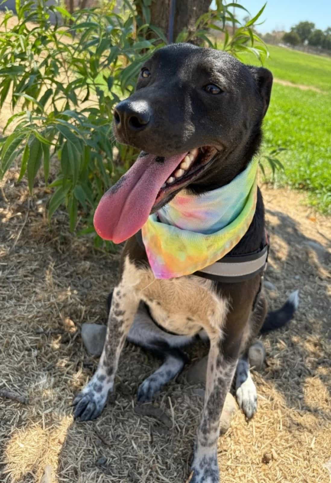 Foto de Diva