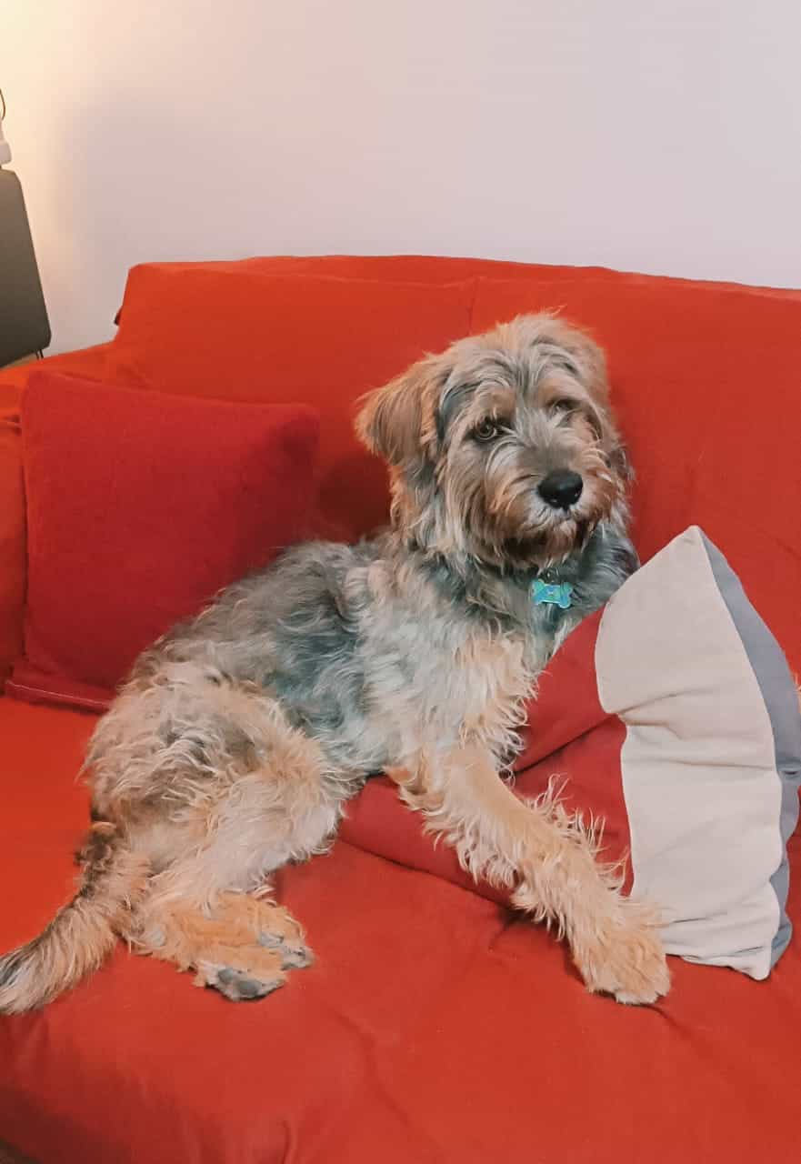 Foto de Juanito