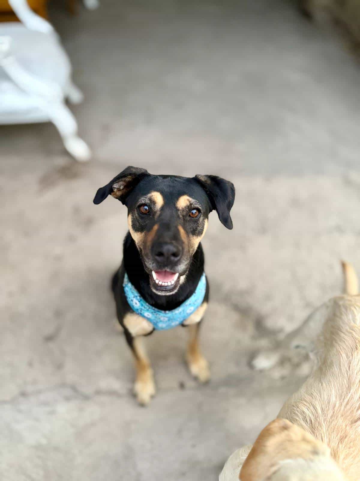 Foto de Sasha