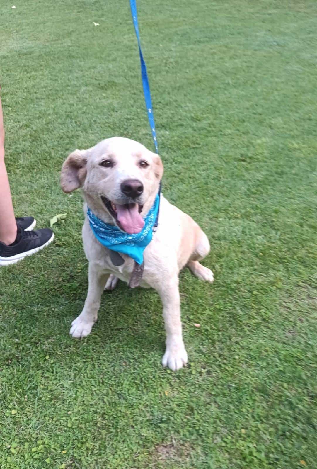 Foto de OSITO tiernecito ♥️6ta región