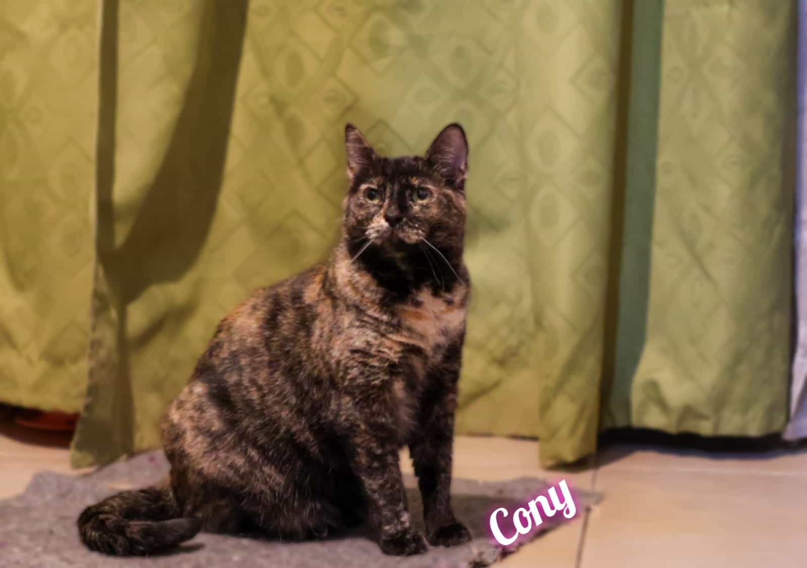 Foto de CONY