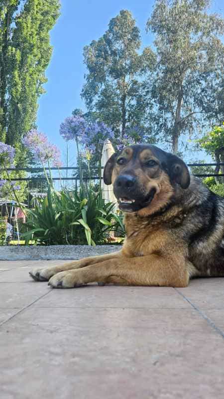Foto de Dieguito