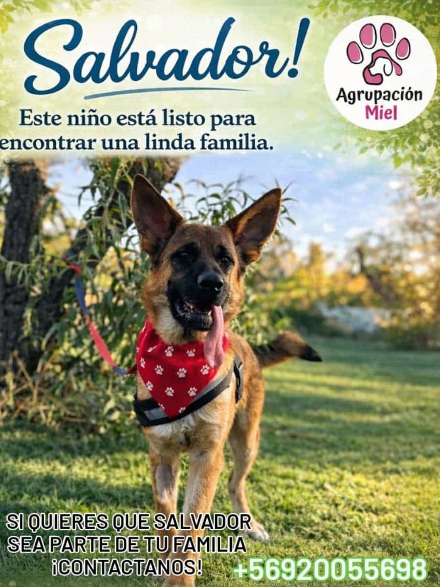 Foto de Salvador