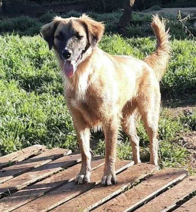 Foto de Cindy