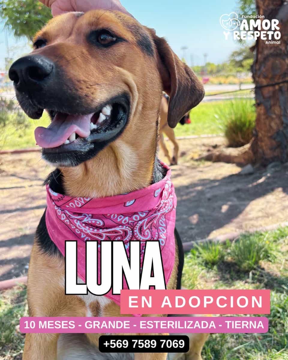 Foto de Luna