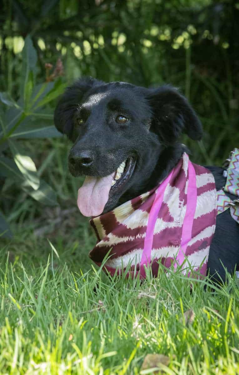 Foto de Kira