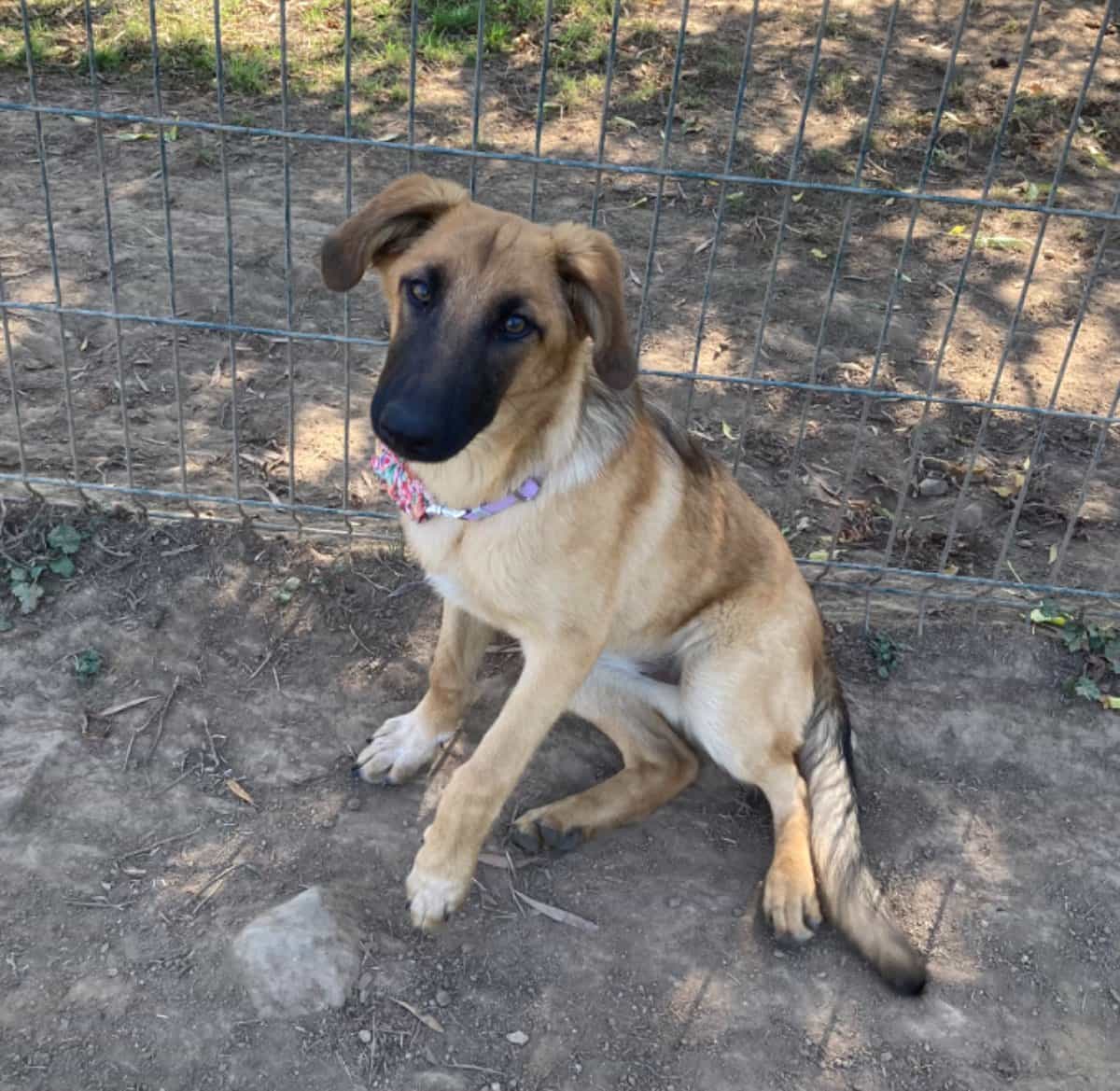 Foto de Eli