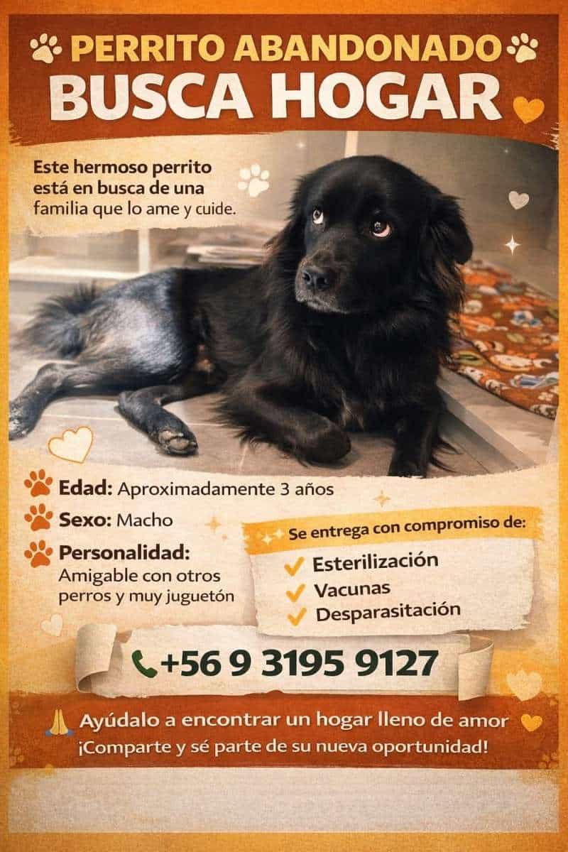 Foto de Ares