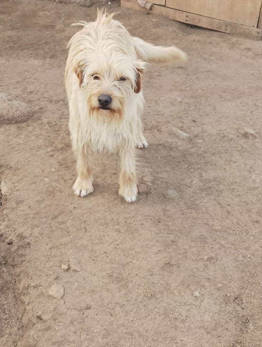 Foto de Pequeño