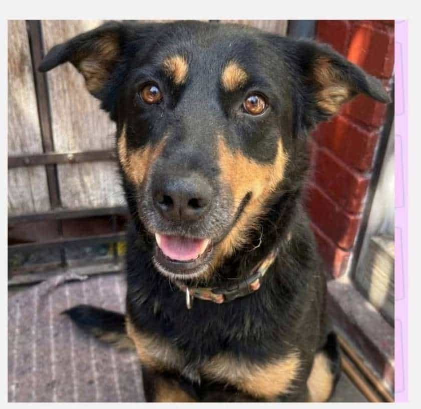 Foto de Morita