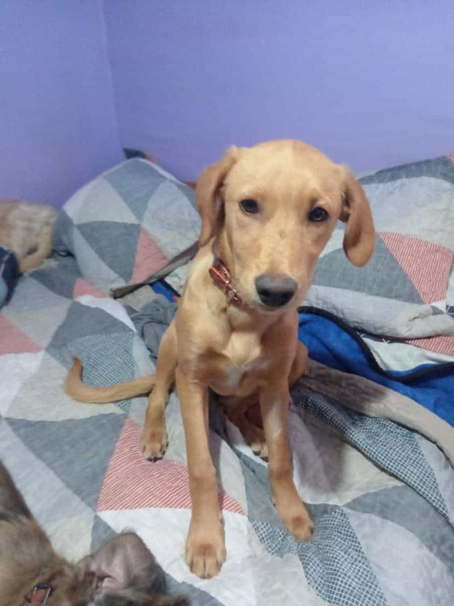 Foto de Zara