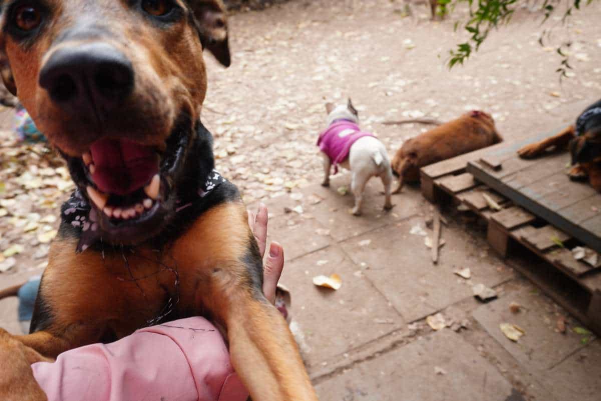 Foto de Princesa
