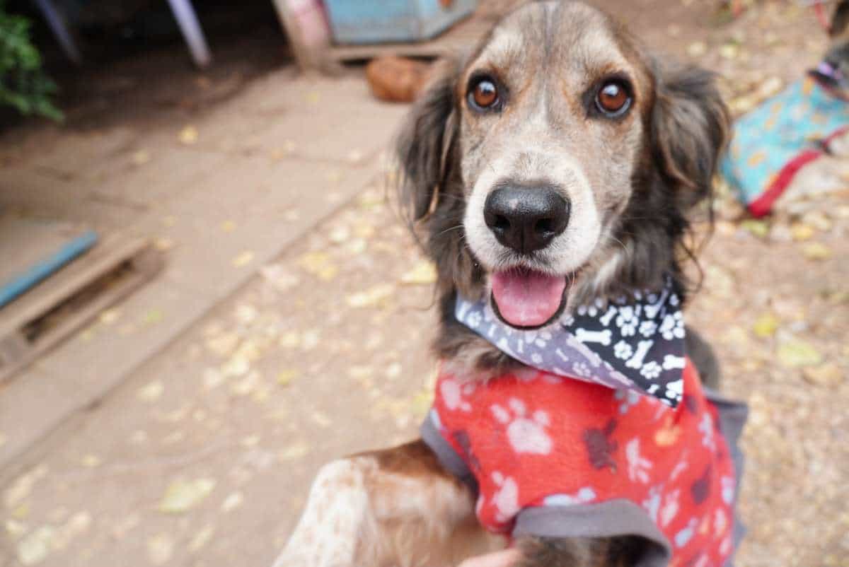 Foto de Baldo