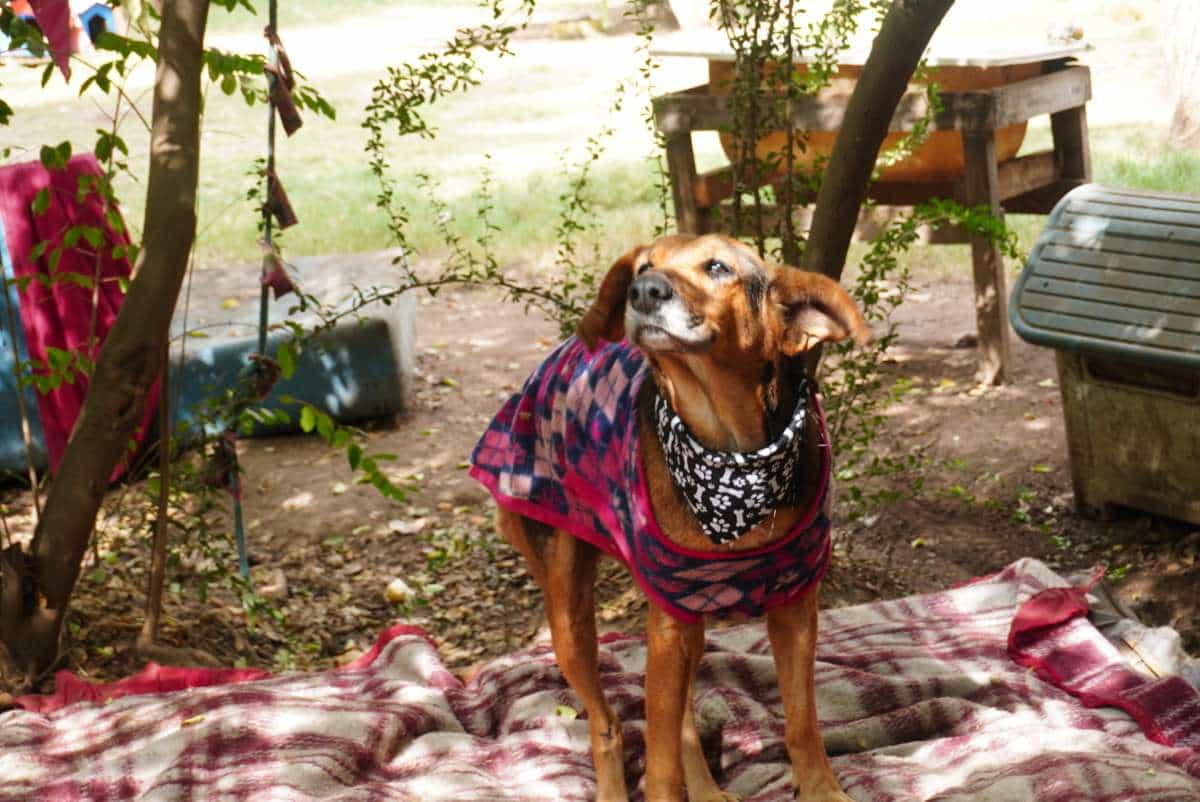 Foto de Ramona