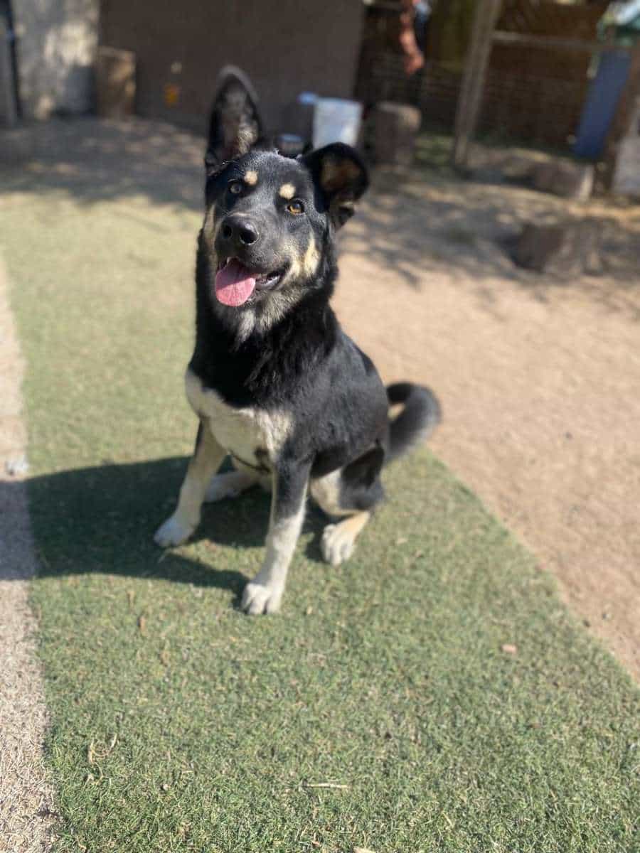 Foto de Molly