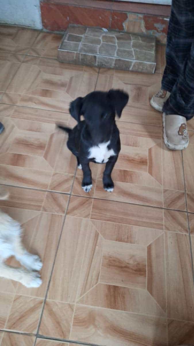 Foto de Coto