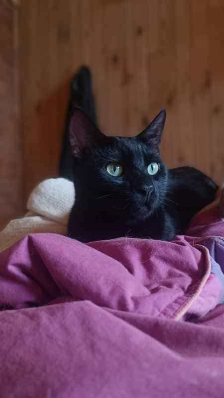 Foto de Ramoncho