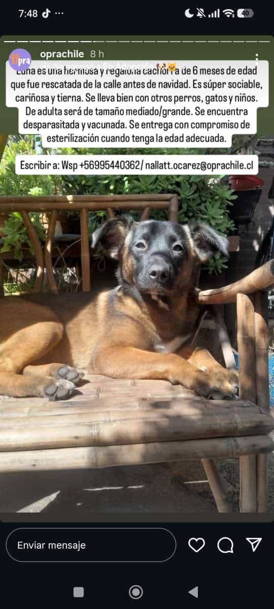 Foto de Luna