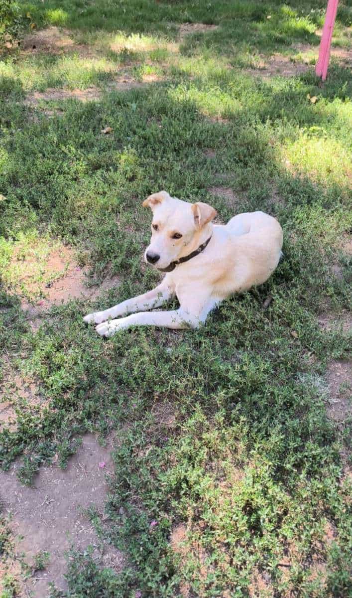 Foto de Ale blanquito