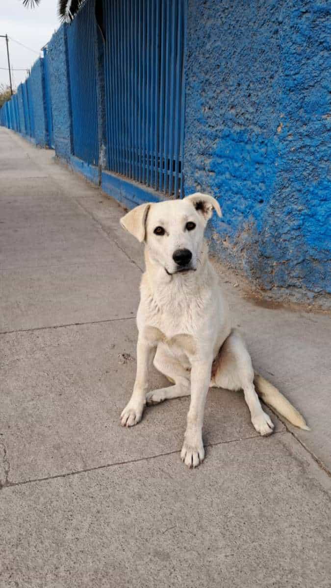 Foto de Blanquita